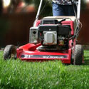 Lawn Removal